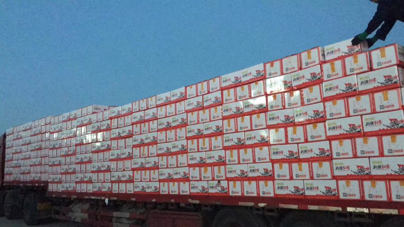 新疆红枣，原枣各种规格品种齐全，量大从优诚信批发