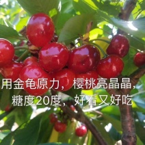 樱桃好吃