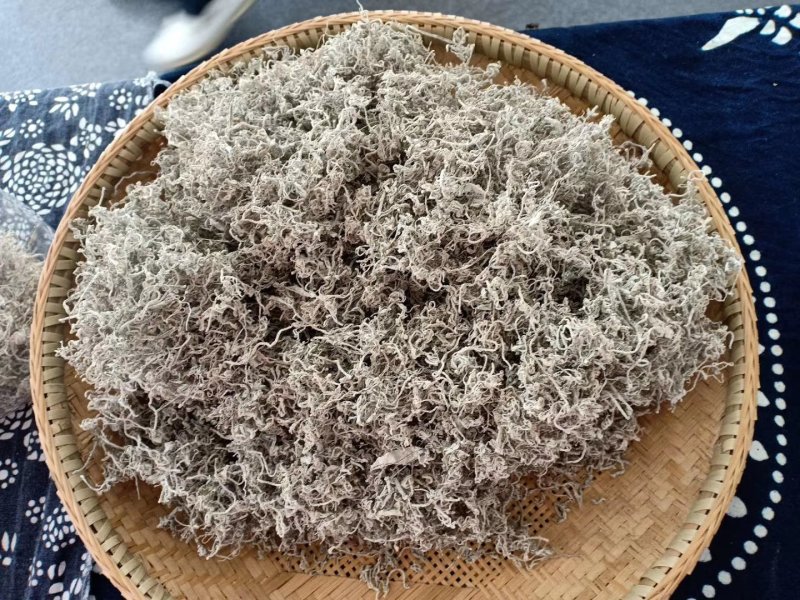 家乡藤茶