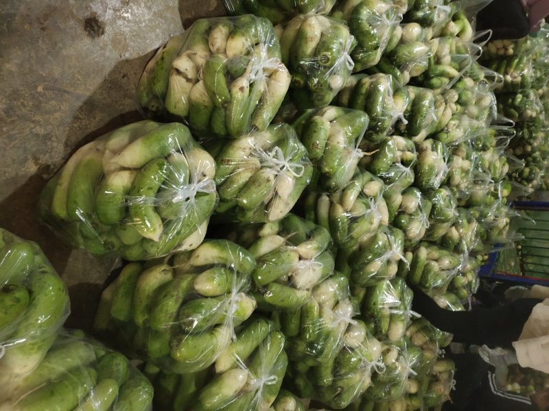精品青萝卜，电商超市，养殖厂，加工厂，量大从优，产地直发