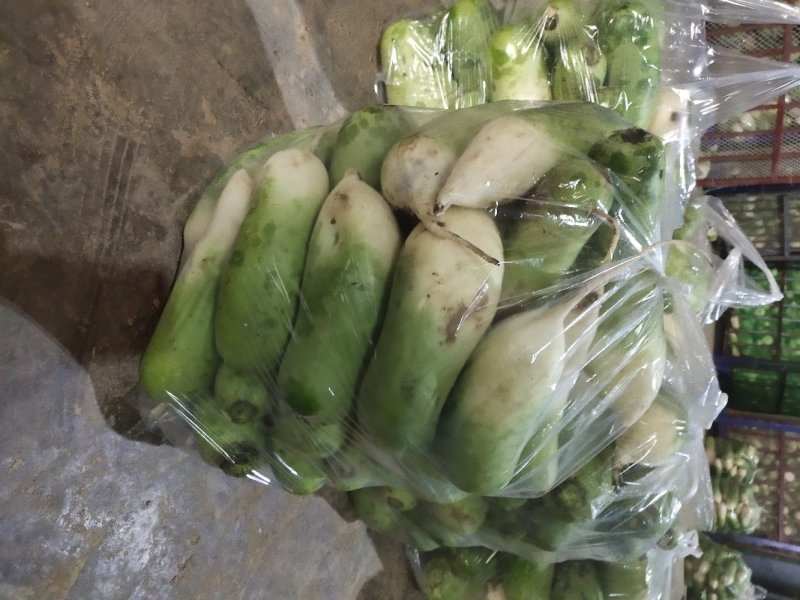 精品青萝卜，电商超市，养殖厂，加工厂，量大从优，产地直发