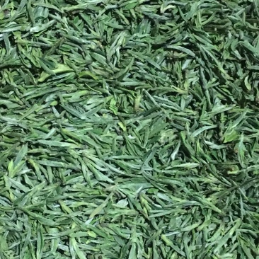 绿茶