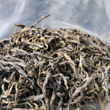 绿茶
