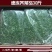 速冻荠菜馅速冻荠菜馅荠菜