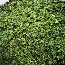 速冻荠菜馅速冻荠菜馅荠菜