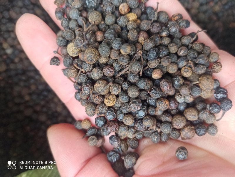 荜澄茄正品保障各种规格专业经营中药批发
