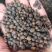 荜澄茄正品保障各种规格专业经营中药批发