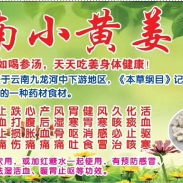 干姜，云南干姜块，干姜片，云南小黄姜干货，现货大量供应