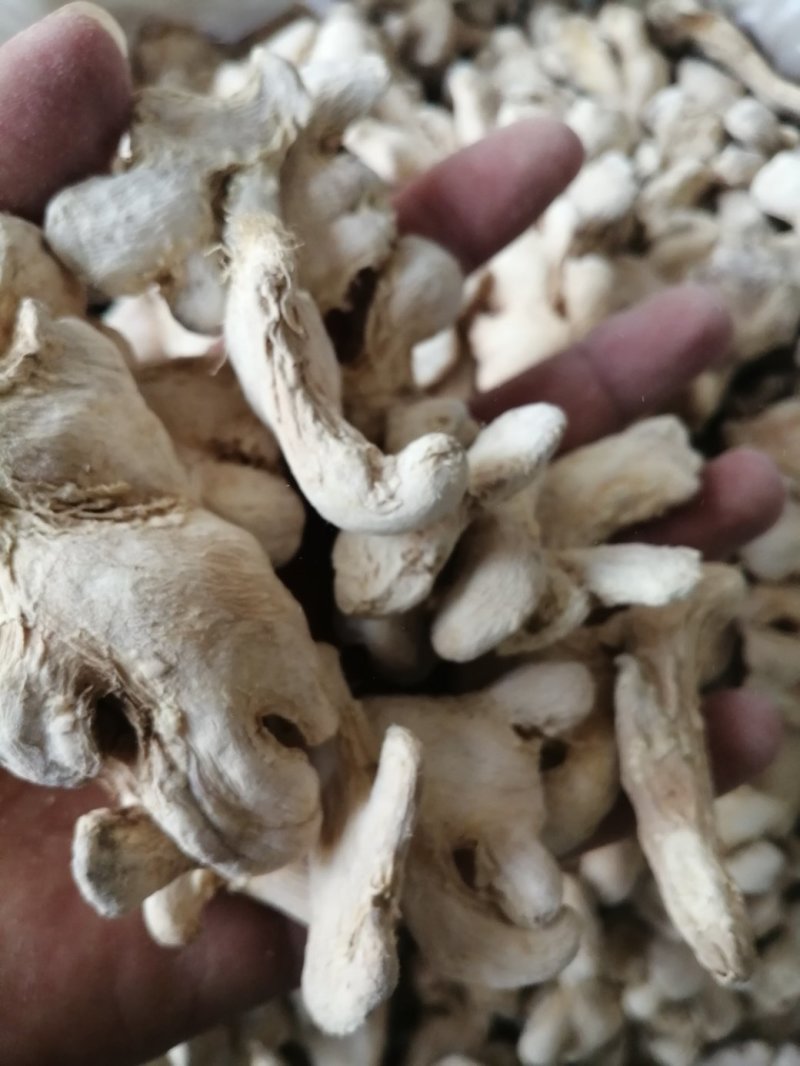 干姜，云南干姜块，干姜片，云南小黄姜干货，现货大量供应