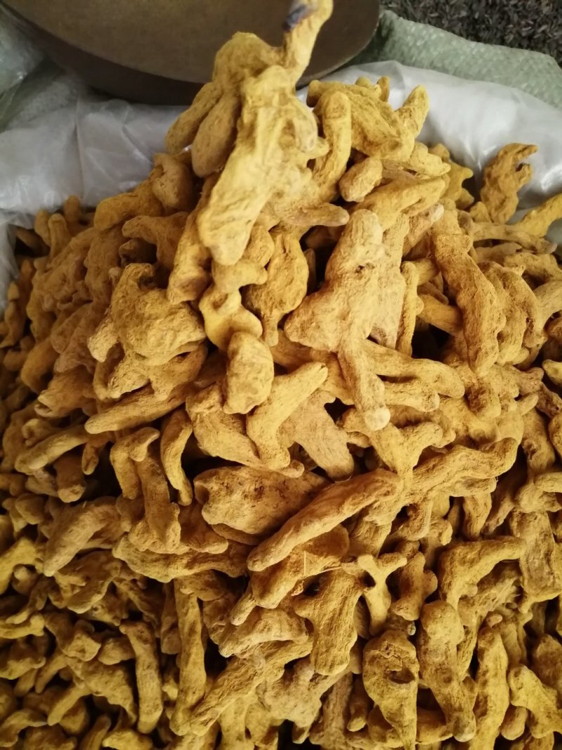 姜黄，四川姜黄干货，高含量货干颜色漂亮大货供应