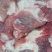 新鲜冷冻猪46猪瘦肉50斤五花肉猪碎肉4肥6瘦猪肉商用包