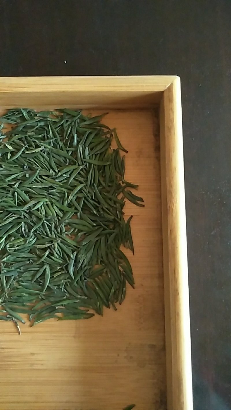 湄潭翠芽源头产地量大从优全国可发，价格透明