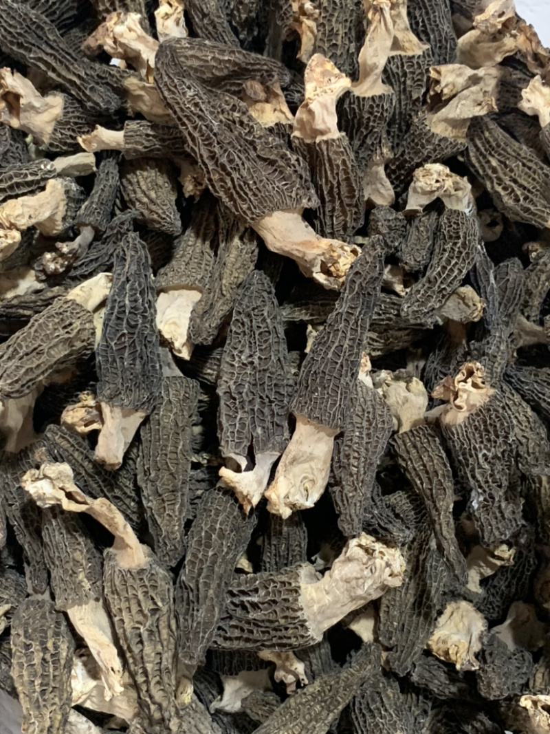 带脚羊肚菌微商电商实体淘货源专业保密一件代发