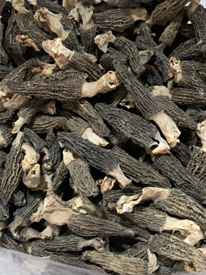 带脚羊肚菌微商电商实体淘货源专业保密一件代发