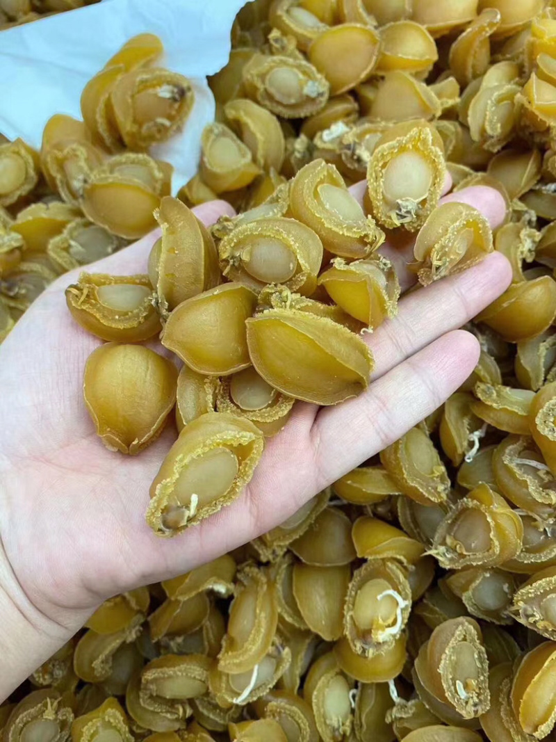 150头大连鲍鱼干批发