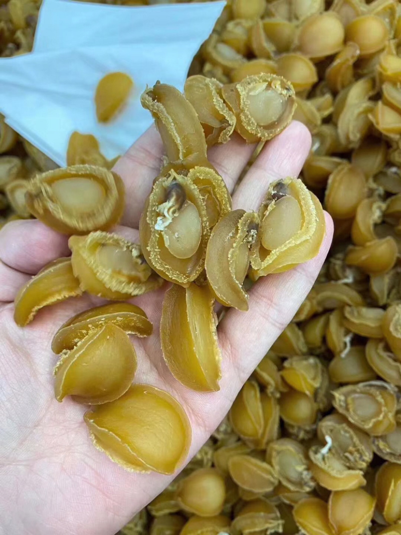 150头大连鲍鱼干批发
