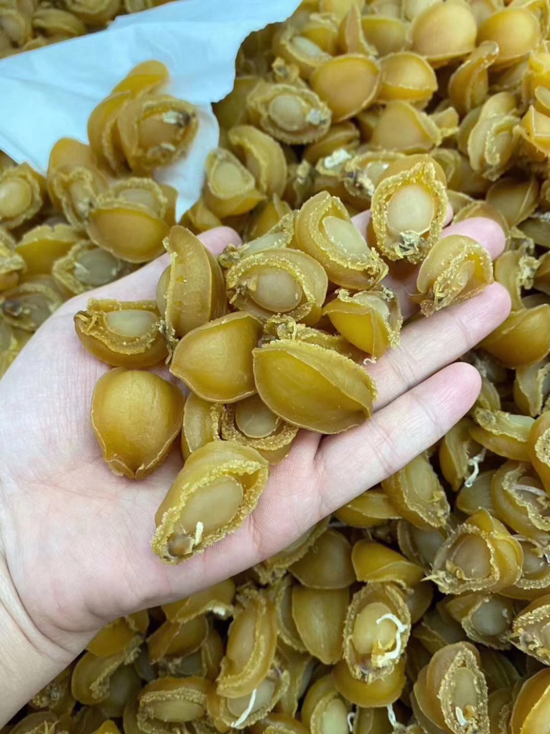 150头大连鲍鱼干批发