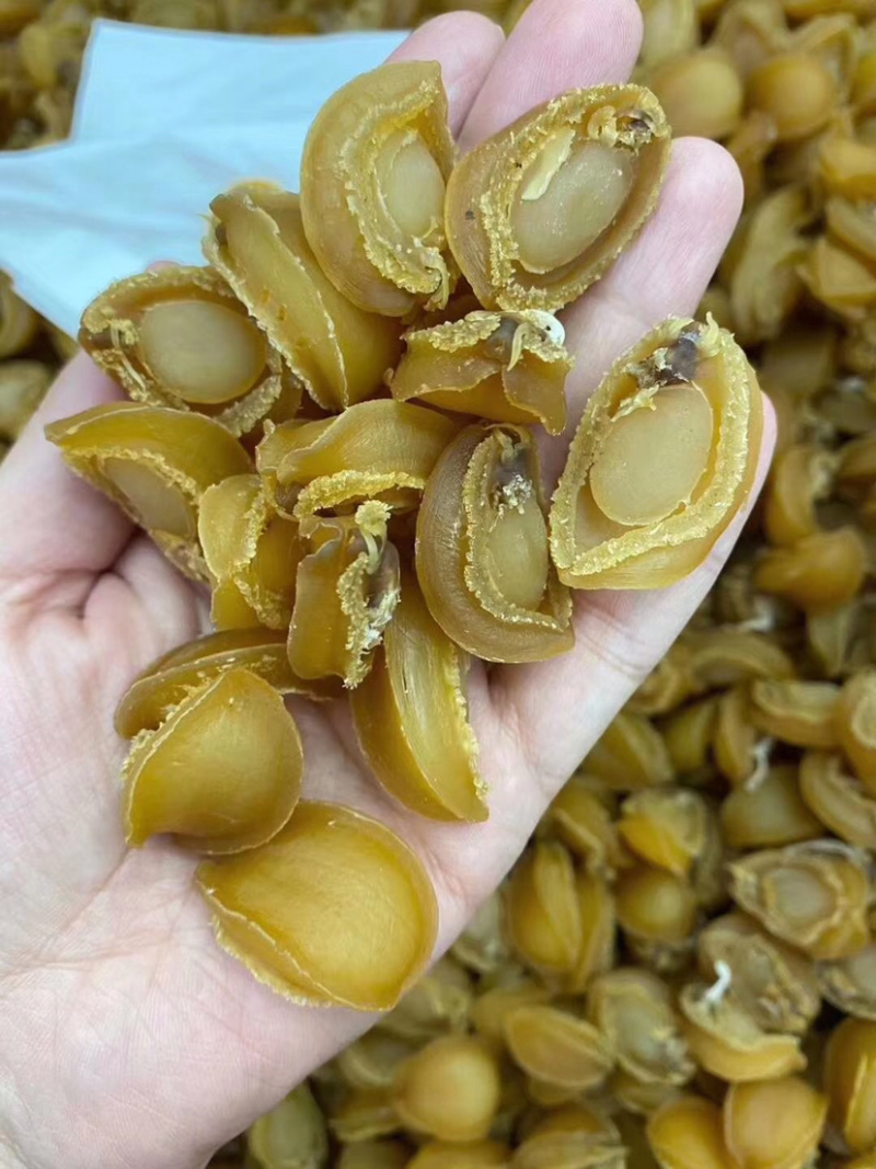 150头大连鲍鱼干批发