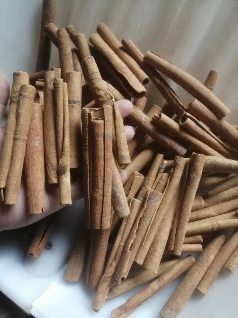 桂皮桂皮桂皮桂皮桂皮桂皮桂皮桂皮桂皮