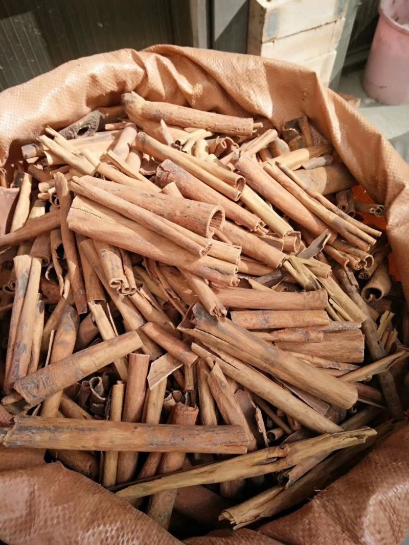 桂皮桂皮桂皮桂皮桂皮桂皮桂皮桂皮桂皮
