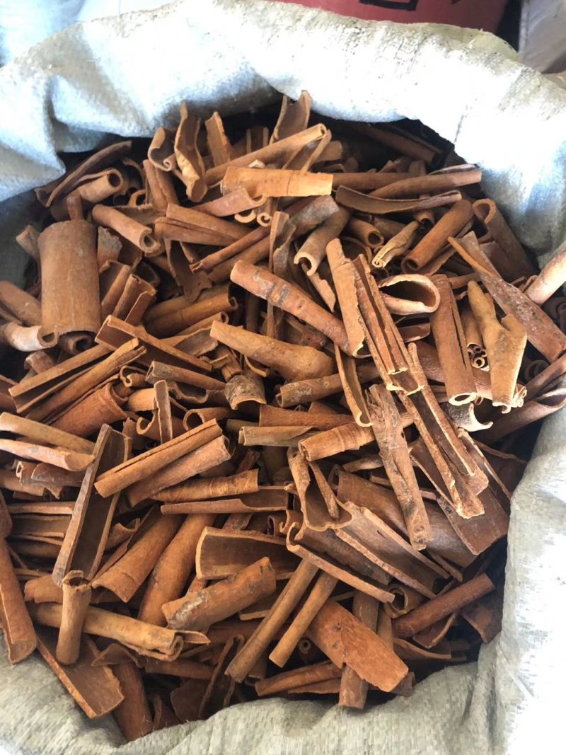 桂皮桂皮桂皮桂皮桂皮桂皮桂皮桂皮桂皮