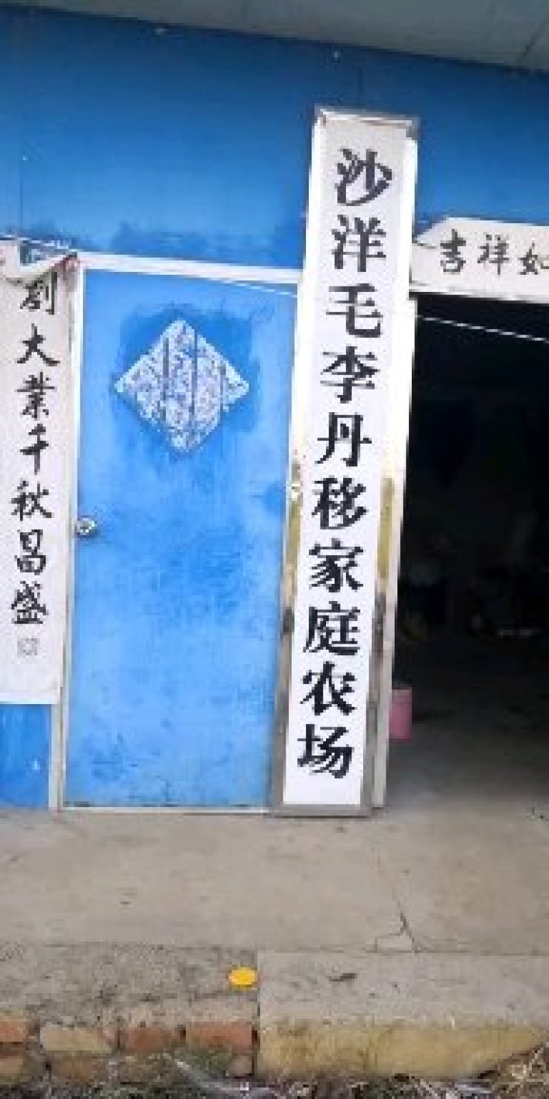 荆楚大地长湖之畔引江济汉工程中段人工养殖四大家鱼