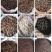 香料专业户香料专业户香料专业户香料专业户