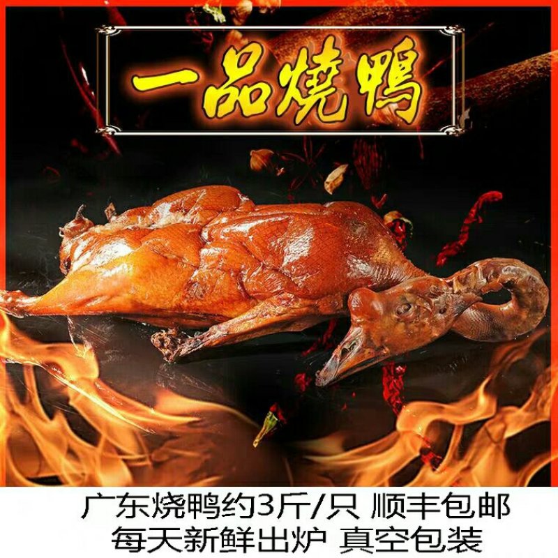 安徽安庆五香麻辣烤鸭
