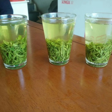 陕西汉中西乡高山云雾绿茶