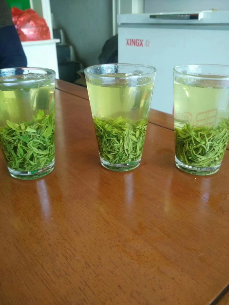 陕西汉中西乡高山云雾绿茶