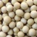 大豆大豆大豆大豆大豆大豆大豆大豆大豆