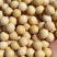大豆大豆大豆大豆大豆大豆大豆大豆大豆