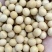 大豆大豆大豆大豆大豆大豆大豆大豆大豆