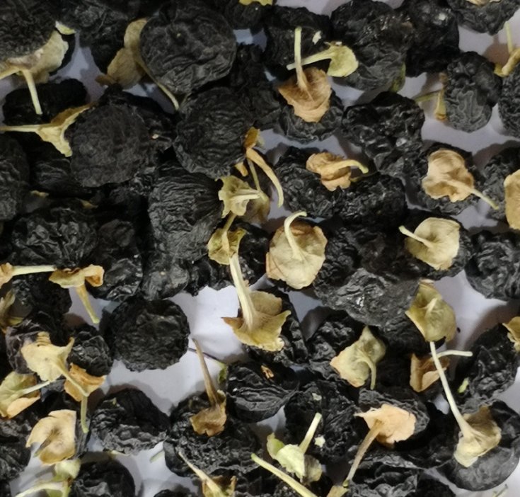 枸杞与何首乌药材图,展示干燥状态下的原材料外观 枸杞与何首乌药材图