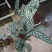 竹芋新飞芋多级货，基地直供常年性供应经营多种盆花