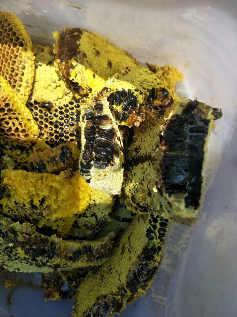 纯野生中华蜂黑蜂蜜