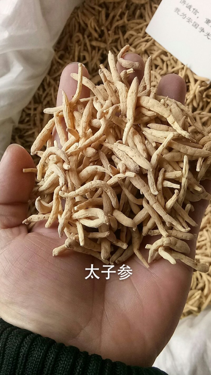 太子参孩儿参无硫***各种中药材批发