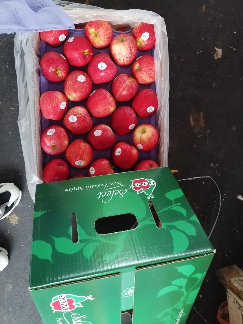 新西兰加力果脆甜苹果国外工厂直发电商水果连锁专卖