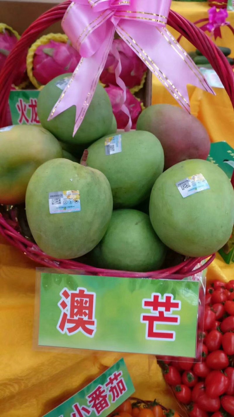广西芒果苗澳芒树苗芒果树苗芒果苗高产澳芒
