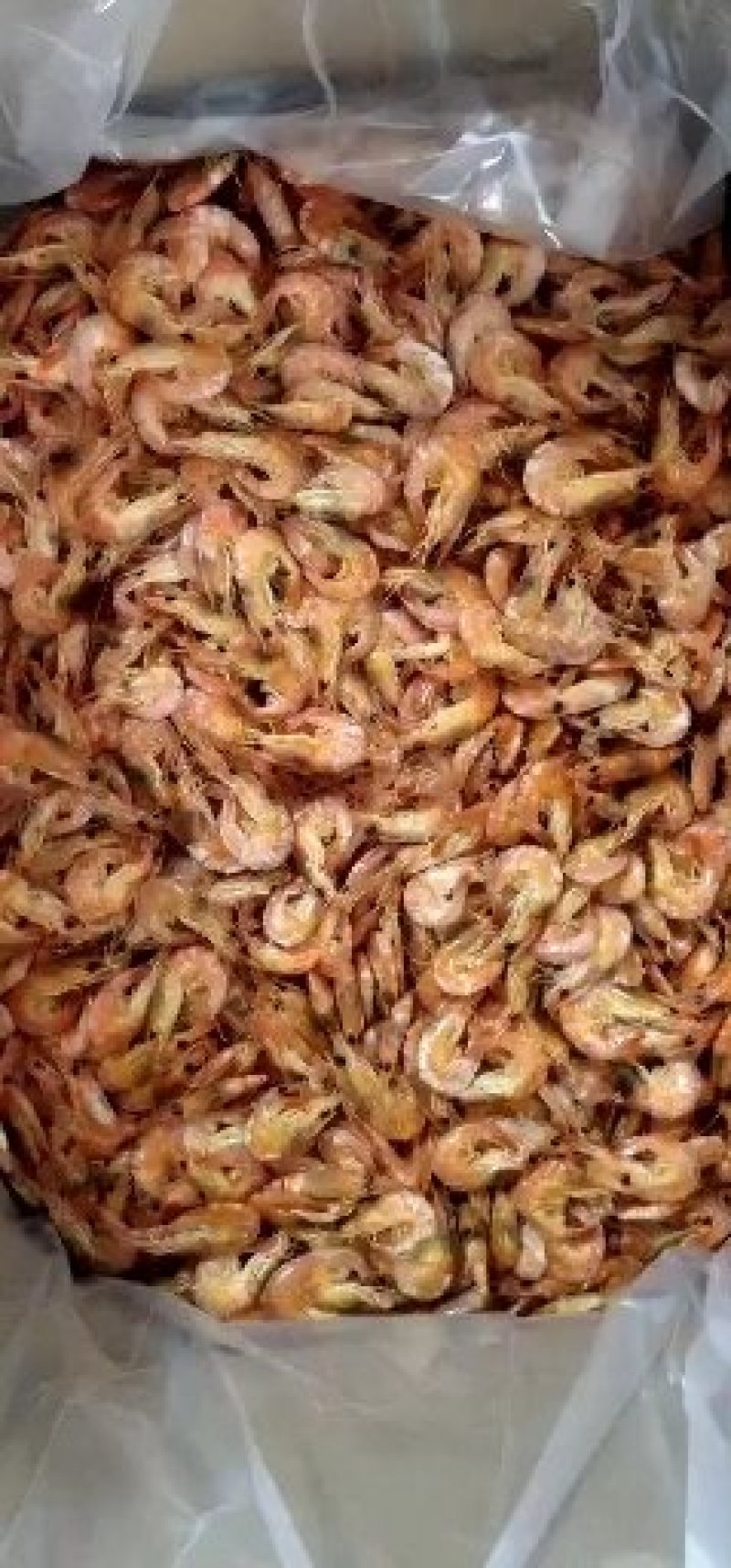 渤海湾精品烘干对虾，各种规格，品种齐全，常年供应，全国发货