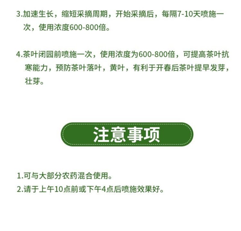 茶叶叶面肥套餐壮芽拉尖素茶叶催芽增厚素叶子增厚素促生芽