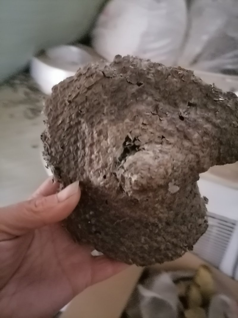 蜂窝小蜂房软蜂窝一斤起批大货便药厂货一手货源产地直发