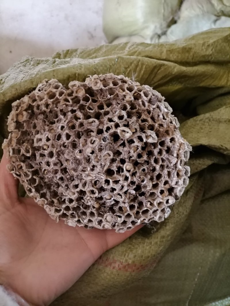 蜂窝小蜂房软蜂窝一斤起批大货便药厂货一手货源产地直发
