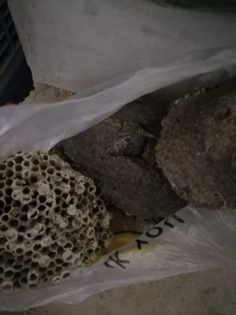 蜂窝小蜂房软蜂窝一斤起批大货便药厂货一手货源产地直发