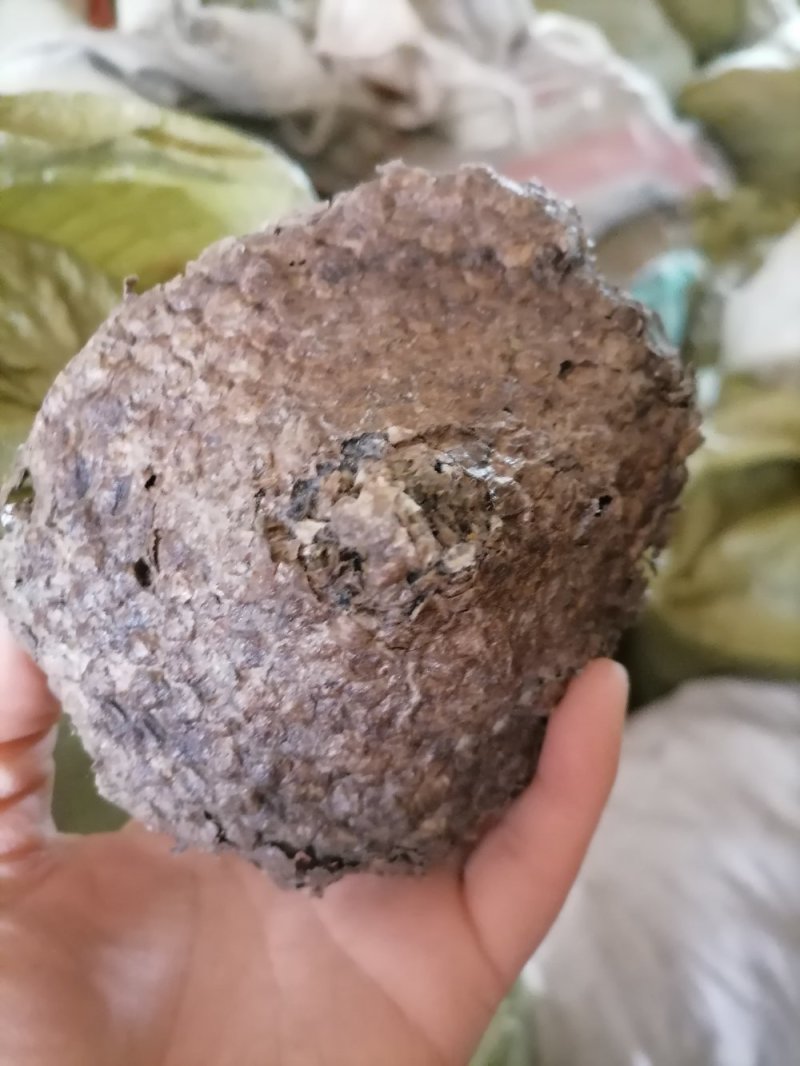 蜂窝小蜂房软蜂窝一斤起批大货便药厂货一手货源产地直发