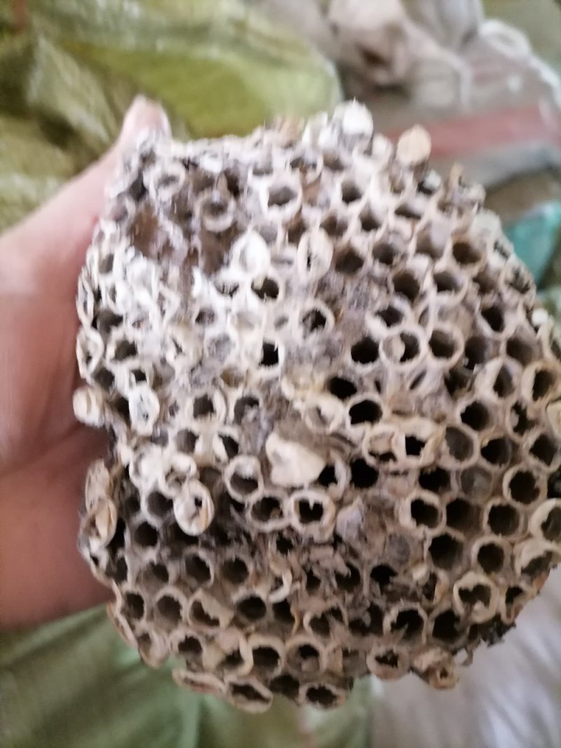 蜂窝小蜂房软蜂窝一斤起批大货便药厂货一手货源产地直发