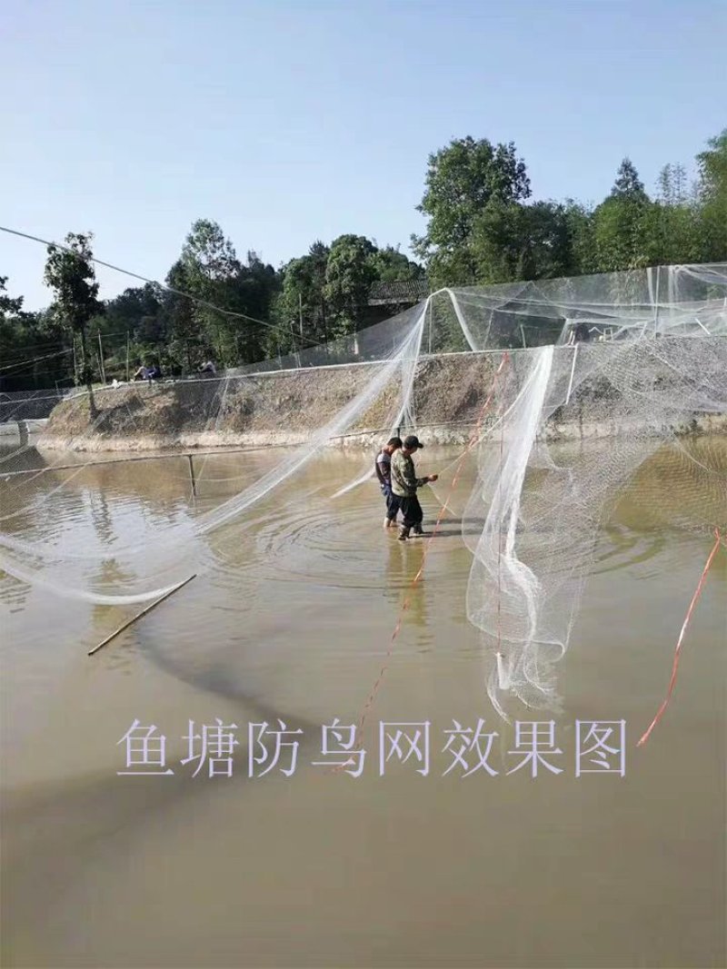 果园鱼塘谷子地防鸟网