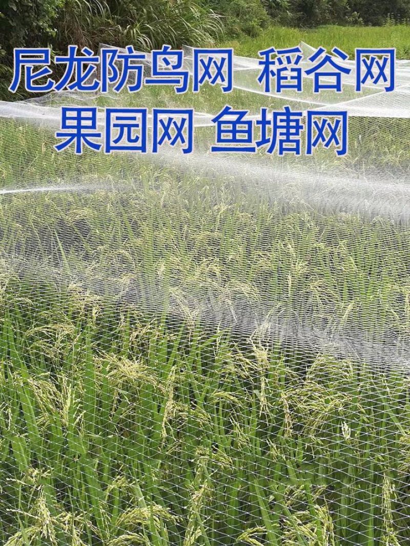 果园鱼塘谷子地防鸟网