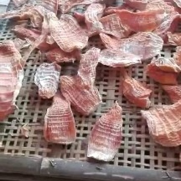 玉兰片笋干，风干机烤干，自然晒干