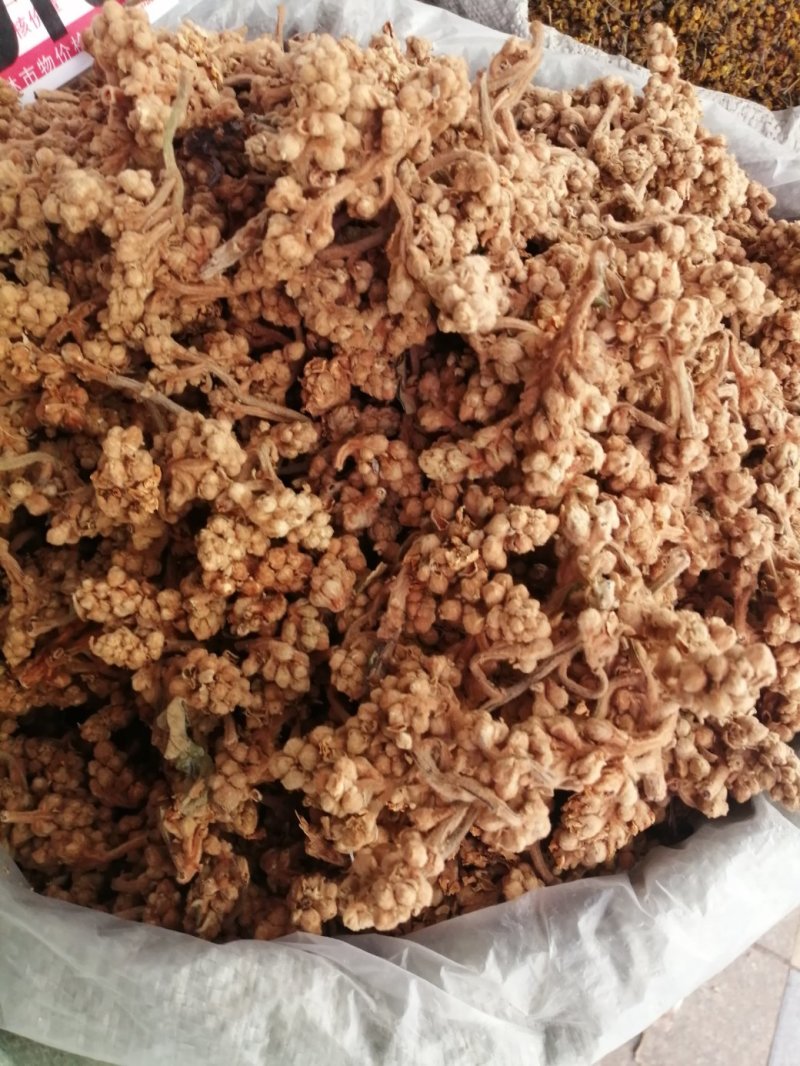 枇杷花，中药材枇杷花人工挑选，货干色泽靓丽